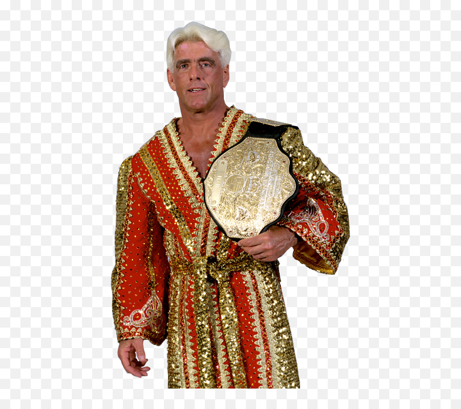 Picture - Bret Hart Vs Ric Flair Png,Ric Flair Png