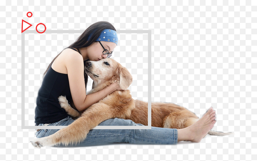 Pet Boarding Grooming In Amarillo Tx - Companion Dog Png,Dog Sitting Png