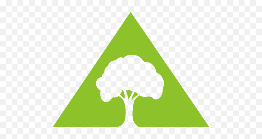 Top View Tree - Tree And Stump Services Png,Tree Elevation Png