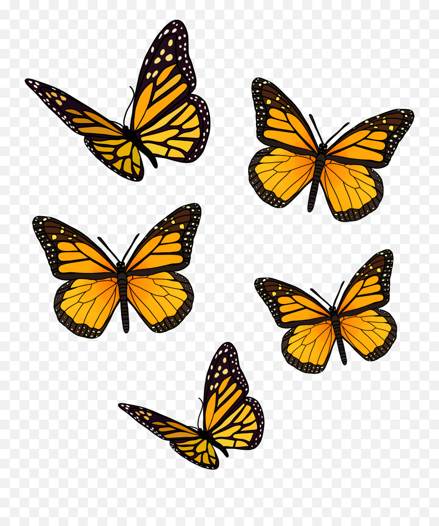 Yellow Butterfly Pack Sticker By Jadydesigns In 2021 - Girly Png,Monarch Butterfly Icon