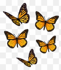Yellow Butterfly Pack Sticker By Jadydesigns In 2021 - Girly png