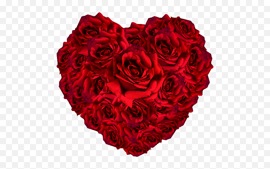 Red Roses Heart Png - Rose Flower Heart Png,Red Heart Png