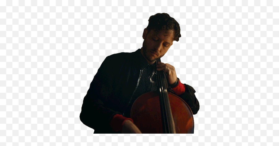 Cello Music Sticker - Cello Music Band Discover U0026 Share Gifs Brent Kutzle Gif Png,Cello Icon