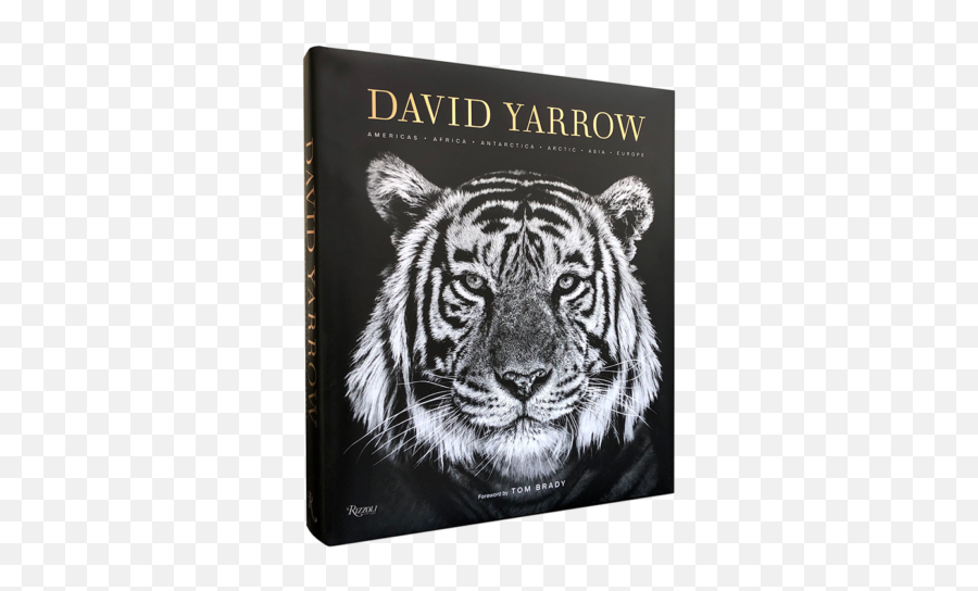 Intro Eu - David Yarrow Photography David Yarrow Book Png,Emma Watson Folder Icon
