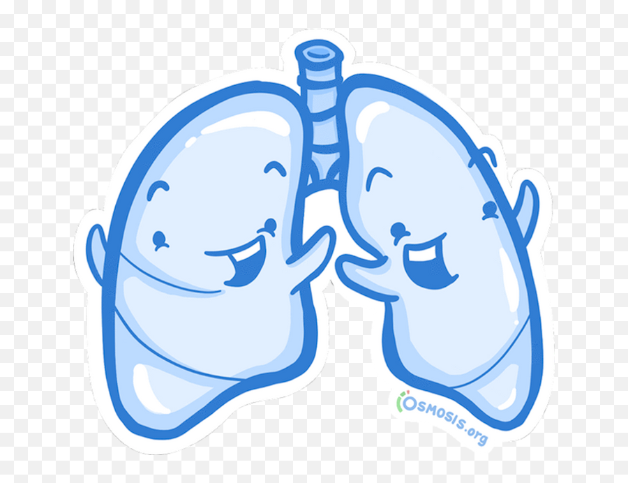 Osmosis Lung Sticker - Osmosis Med Png,Animated Folder Icon