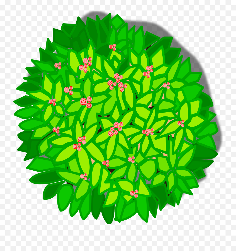 Tree Top View Clipart Transparent Png - Tree Top View Clipart,Tree Top View Png