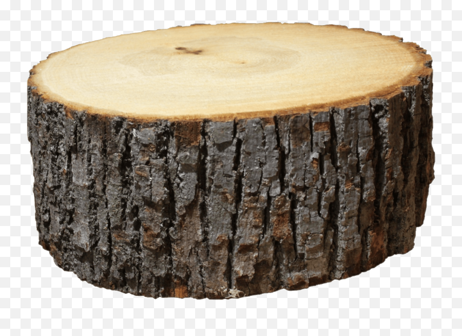Log Section Transparent Png - Wood Log Png,Transparent Png Images Download