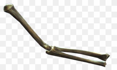 Bone Png Transparent - Real Bones
