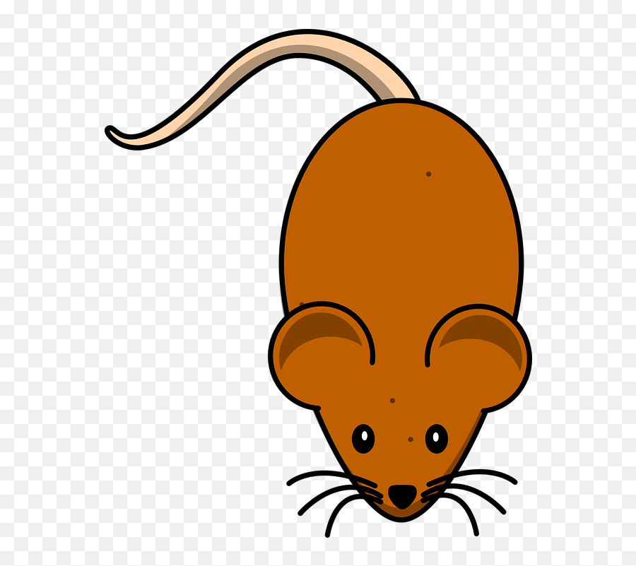 Mice Mouse Brown - Free Vector Graphic On Pixabay Cute Mouse Clipart Png,Mice Png