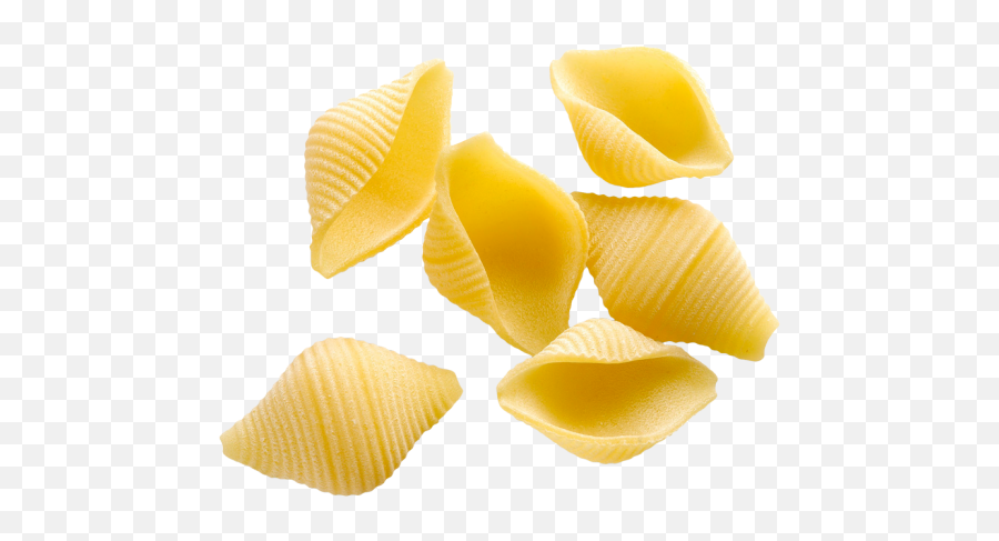 Download Hd Shell Pasta Png Transparent Image - Nicepngcom Pasta Png Shell,Pasta Png