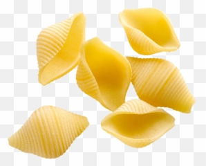 Download Hd Shell Pasta Png Transparent Image - Nicepngcom Pasta Png Shell,Pasta Png