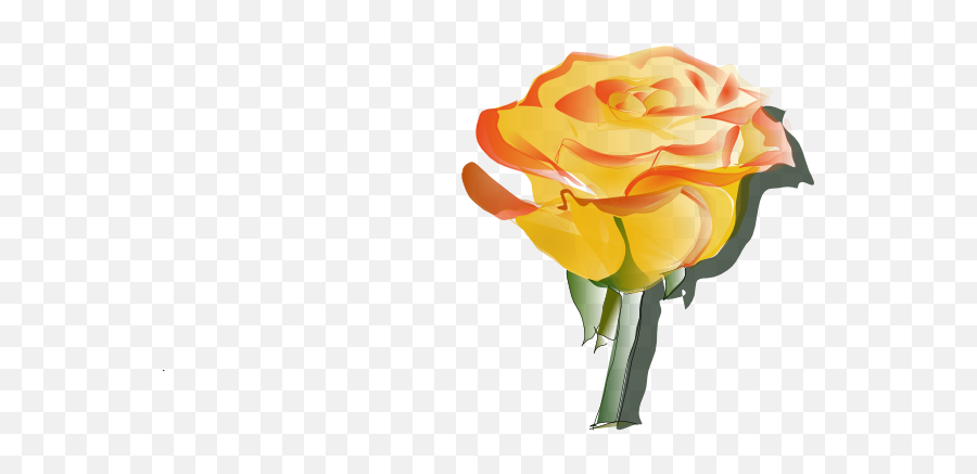 Yellow - Yellow Rose Tattoo Designs Png,Yellow Rose Transparent