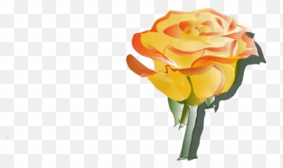 Yellow - Yellow Rose Tattoo Designs Png,Yellow Rose Transparent