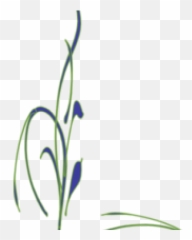 Flower Vine Clipart - Page Corner Designs Transparent png