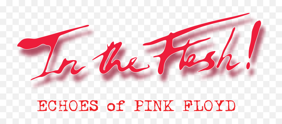 In The Flesh U2014 Echoes Of Pink Floyd - Flesh Pink Floyd Tribute Band Png,Pink Floyd Png