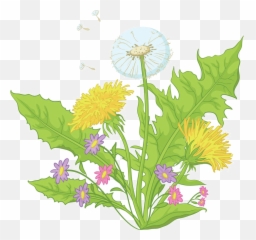 Download 1000 X 937 4 - Cartoon Dandelions Full Size Png Dandelion Leaf Vector Free Download,Dandelions Png