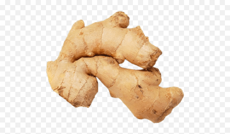 Ginger Root Transparent Png - Ginger Root Png,Ginger Png