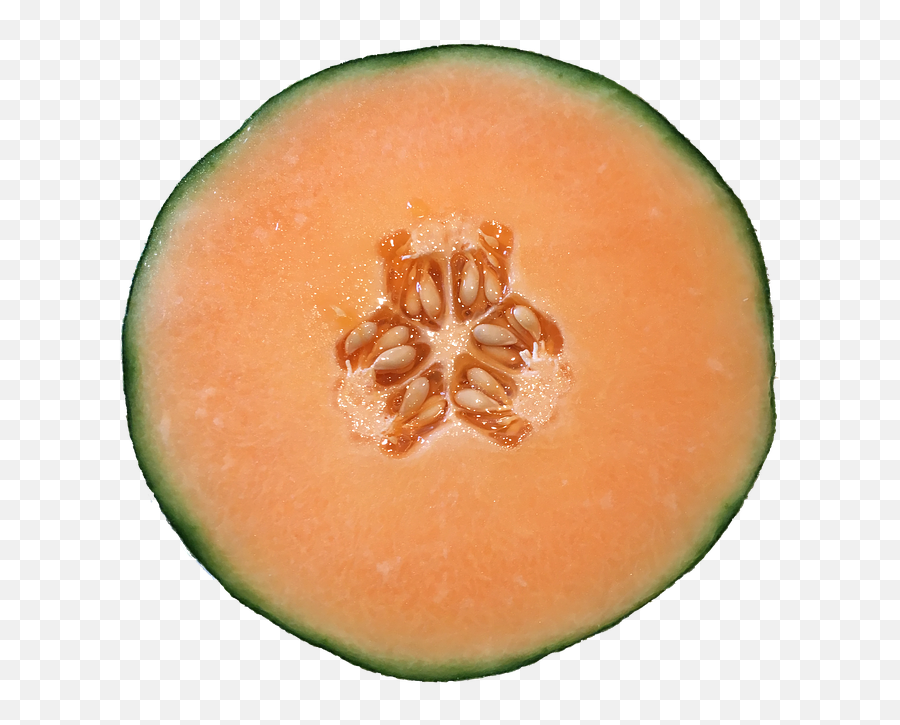 Melon Cantaloupe Orange - Free Image On Pixabay Animation Png,Melon Png
