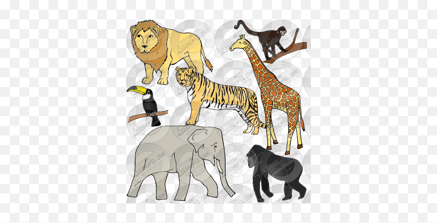 Jungle Animals Picture For Classroom - Illustration Png,Jungle Animals Png