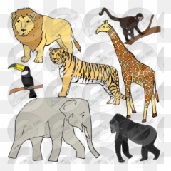 Jungle Animals Picture For Classroom - Illustration Png,Jungle Animals Png