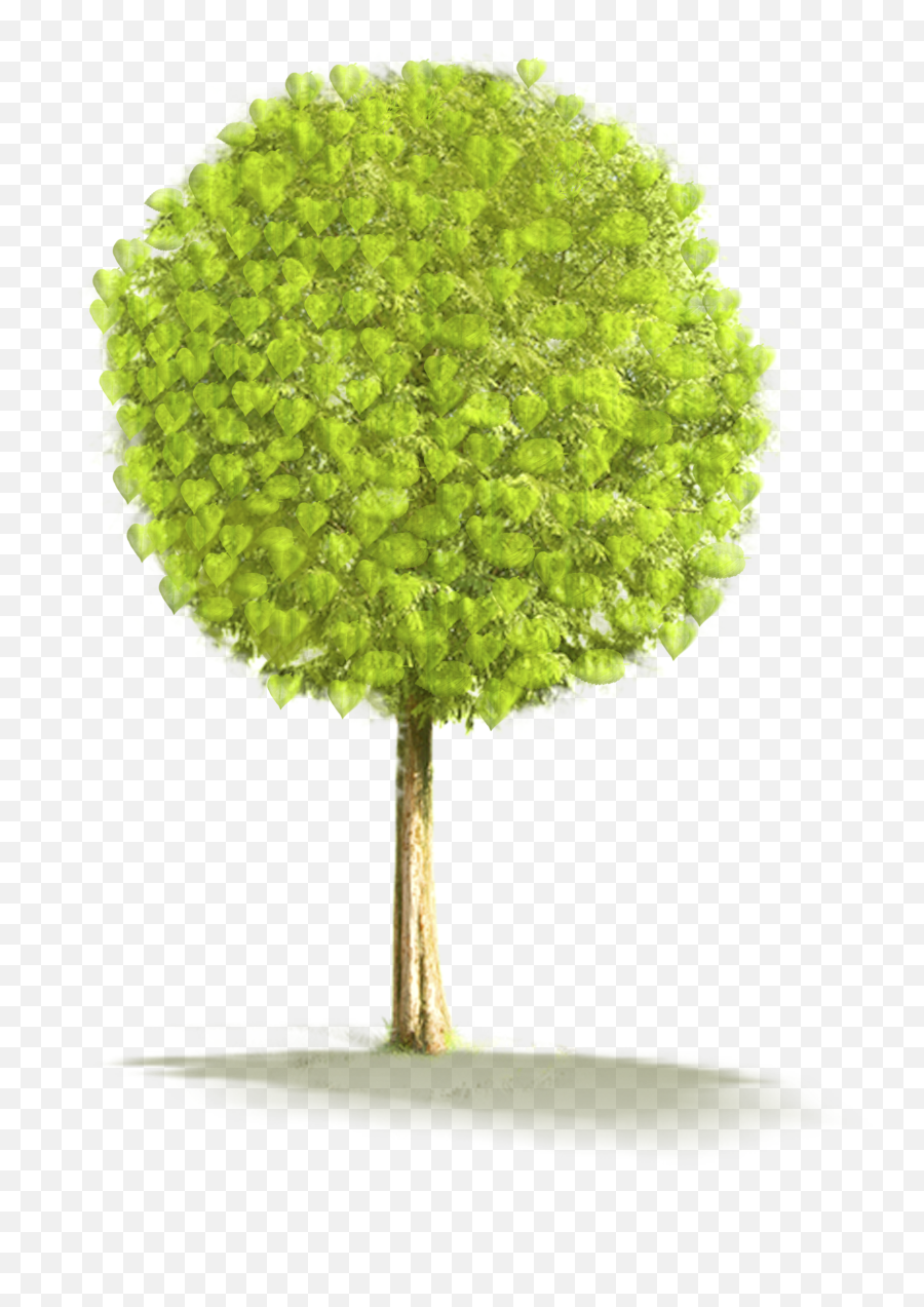 Download Animated Small Tree Png