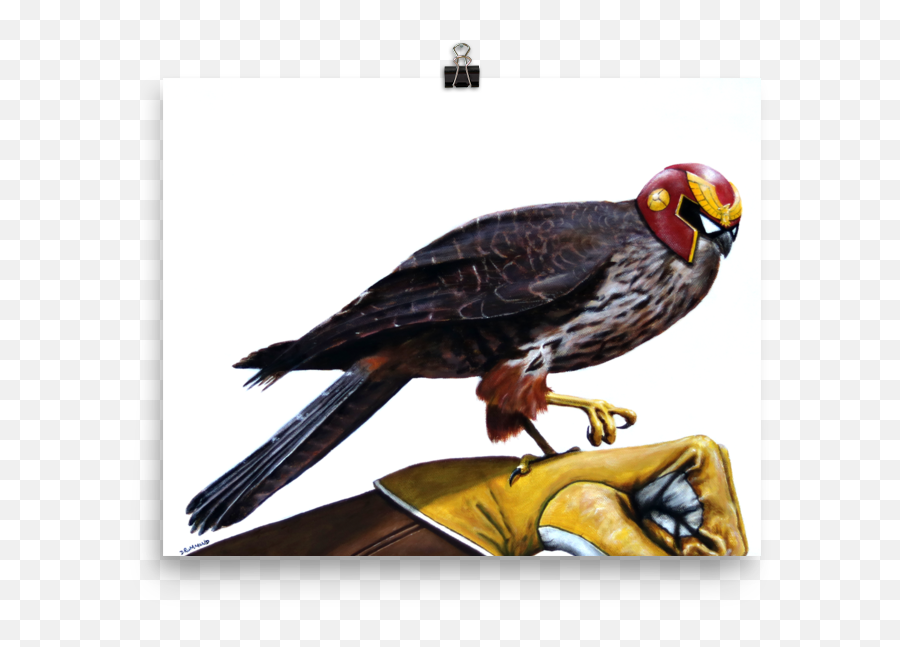 Captain Falcon - Poster Png,Captain Falcon Transparent