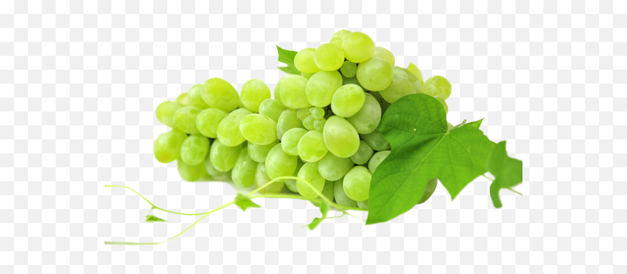 Grapes Download Transparent Png Image Arts - Jibiar Cleopatra,Grapes Transparent