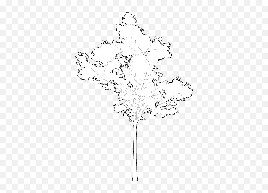 Pin - Maple Tree Cad Block Png,Scale Figures Png