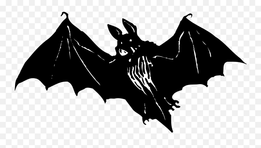 Download Bat Animal Wildlife Halloween Transparent Image - Scary Bats Vector Png,Bat Transparent