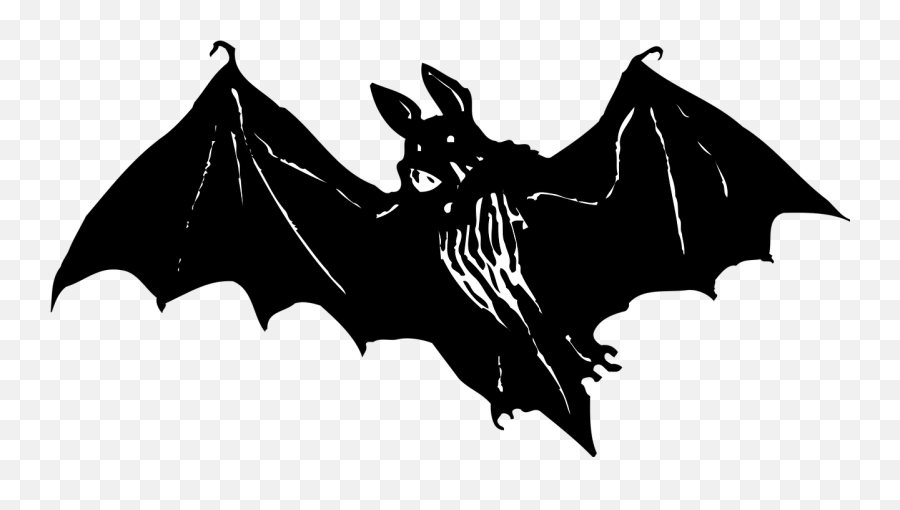 Download HD Bat, Halloween, Autumn, October - Morcego Simbolo Transparent  PNG Image 