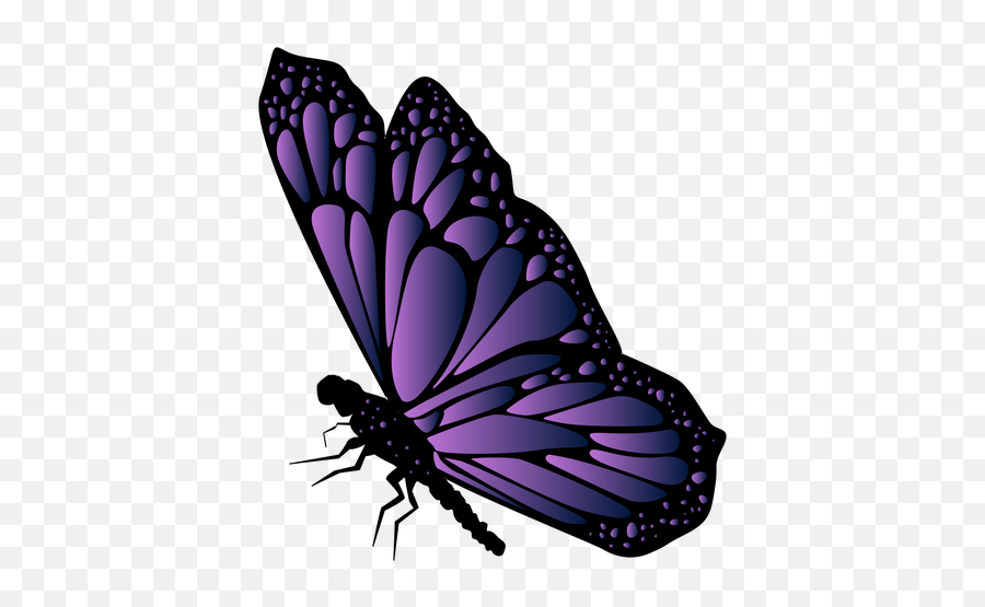 244 Butterfly Purple Svg SVG PNG EPS DXF File