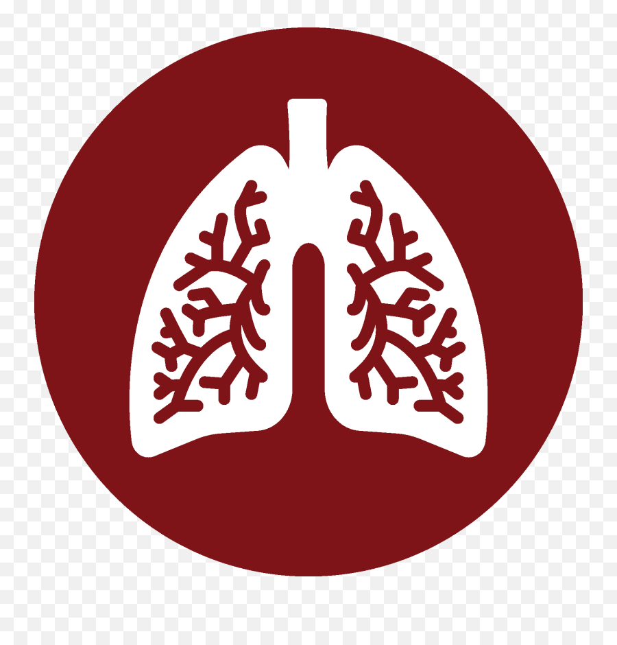 Diagnostic Services Cardiology Associates - Pulmonary Function Icon Transparent Png,Stress Test Icon