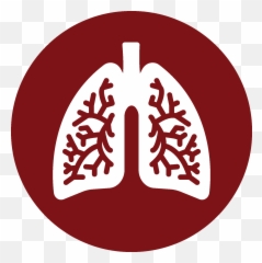 Diagnostic Services Cardiology Associates - Pulmonary Function Icon Transparent Png