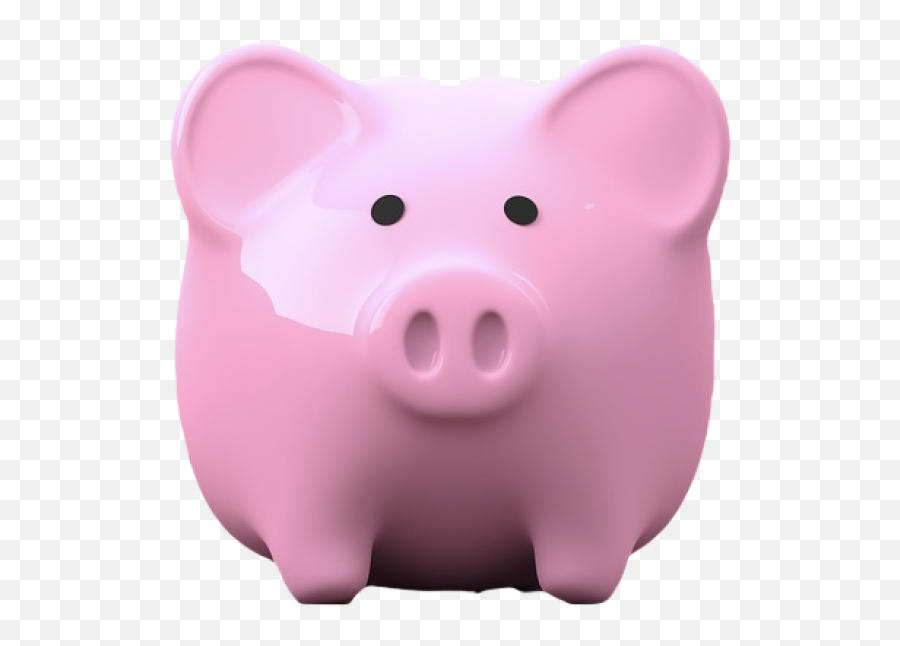 Piggy Bank Png - Domestic Pig,Piggy Bank Png