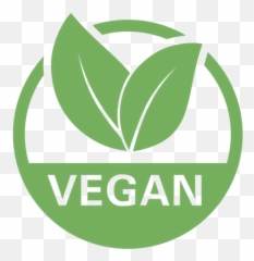 Afterburn Plant - Based Vanilla Protein u2013 Burn Boot Camp Veganism png