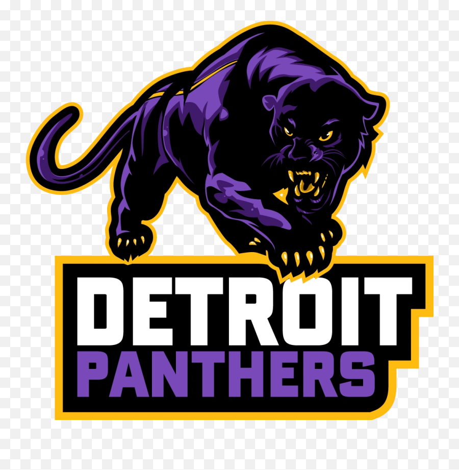 Tickets Detroit Panthers Basketball - Pizza Rock Png,Mobymax Icon