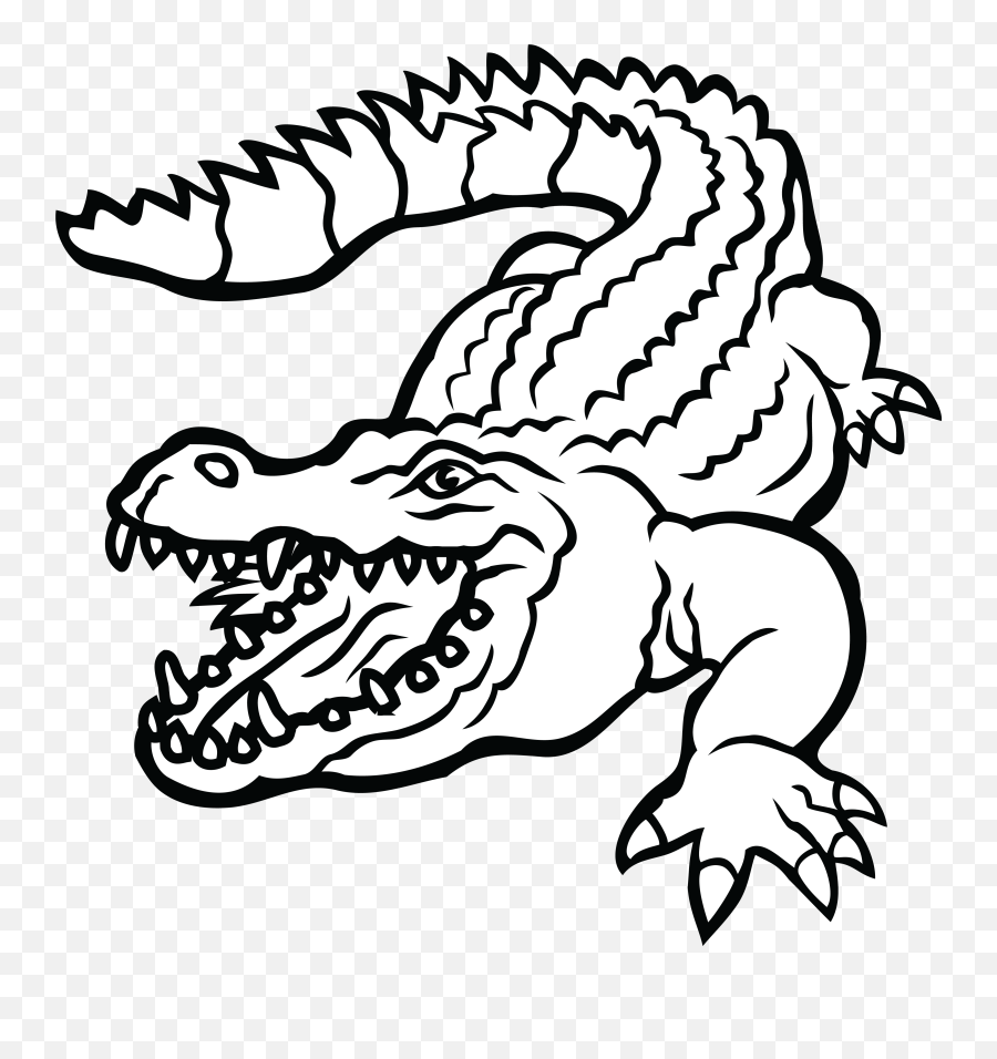 Realistic Transparent Background Alligator Clipart - Clipart Alligator Png,Alligator Transparent Background