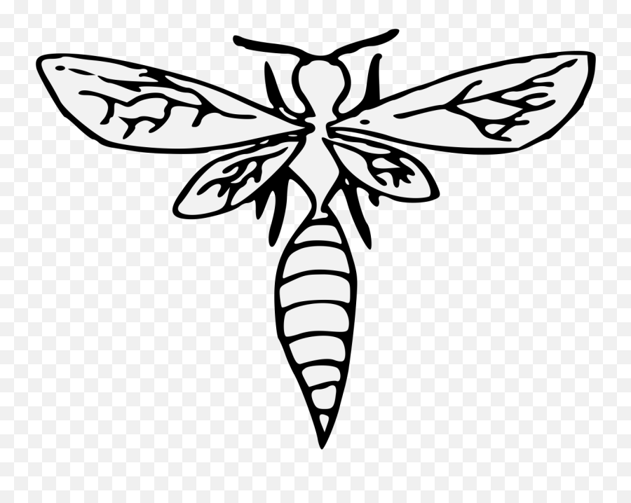 Wasp - Traceable Heraldic Art Clip Art Png,Wasp Png