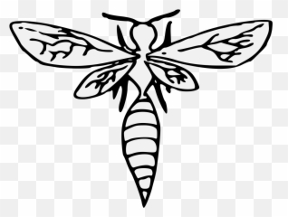 Wasp - Traceable Heraldic Art Clip Art Png,Wasp Png