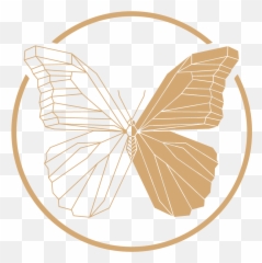 Mariposa Png - Mariposa Logo,Mariposa Png