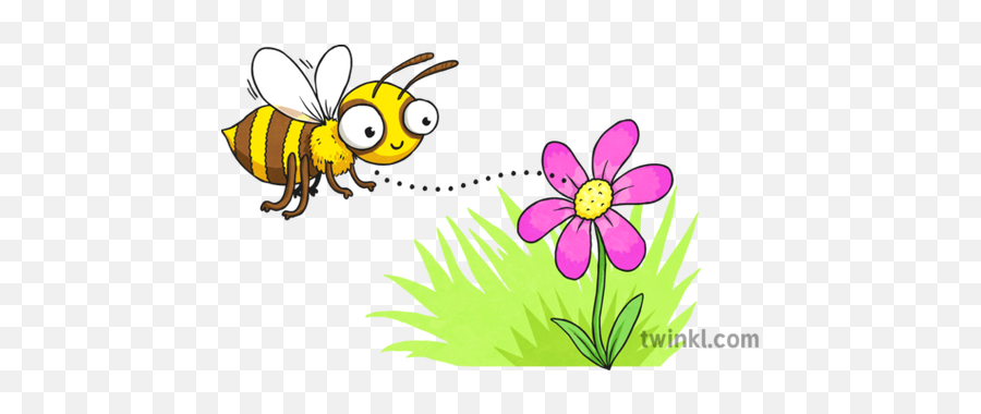 Cartoon Bee And Flower Illustration - Twinkl Black And White Cartoon Bee Png,Flower Cartoon Png