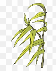 Download Bamboo Giant Cartoon Panda Free Transparent Image - Png