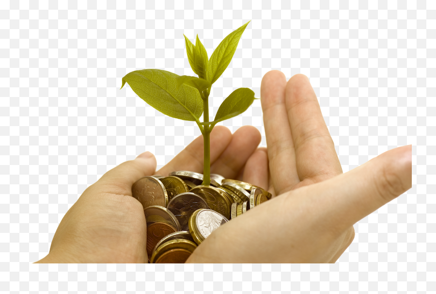 Hand With Money Png - Money Grow Png,Hand With Money Png