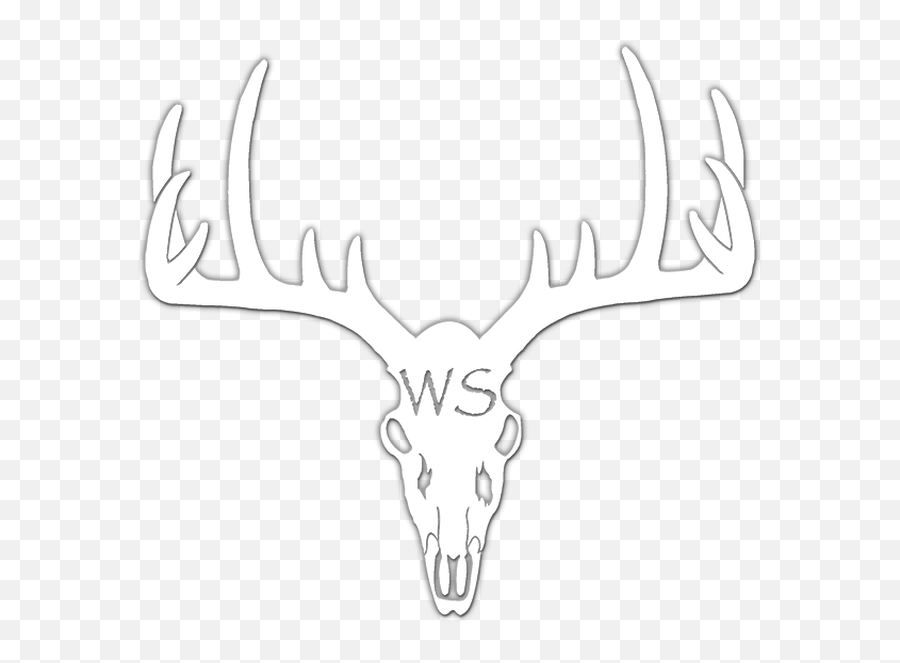 Photography Virginia Wandering Stag Llc - Antler Png,Deer Head Logo