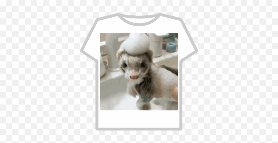 Group Picture Cute Ferret Roblox Roblox Clever Cover T Shirt Png Free Transparent Png Images Pngaaa Com - roblox group free shirt
