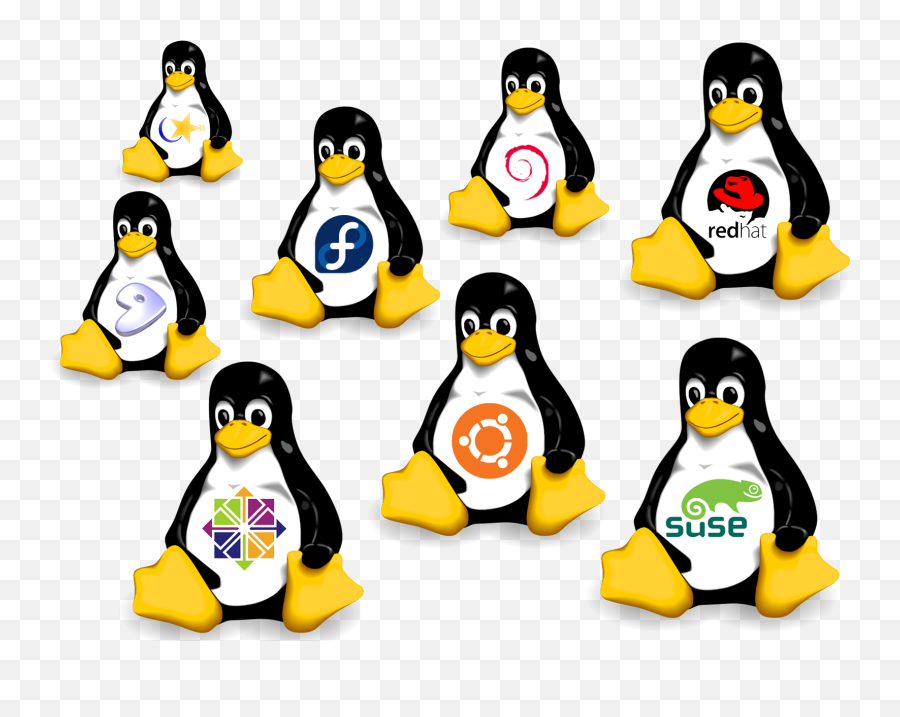 Linux Archives - Linux Distributions Png,Linux Png