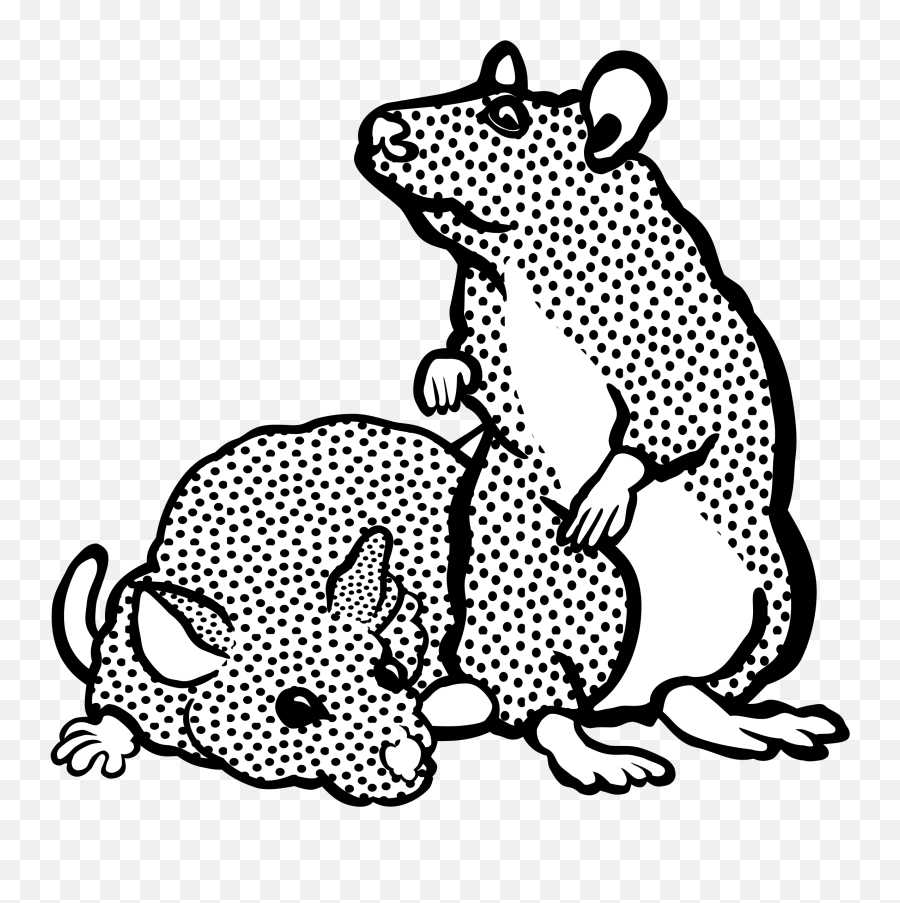 Toad Clipart Big Animal Transparent Free - Sucre Park Png,Toad Png