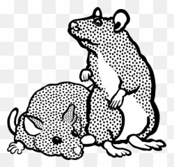 Toad Clipart Big Animal Transparent Free - Sucre Park Png,Toad Png