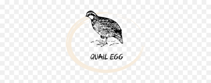 Quail Egg - Quail Clipart Black And White Png,Quail Png