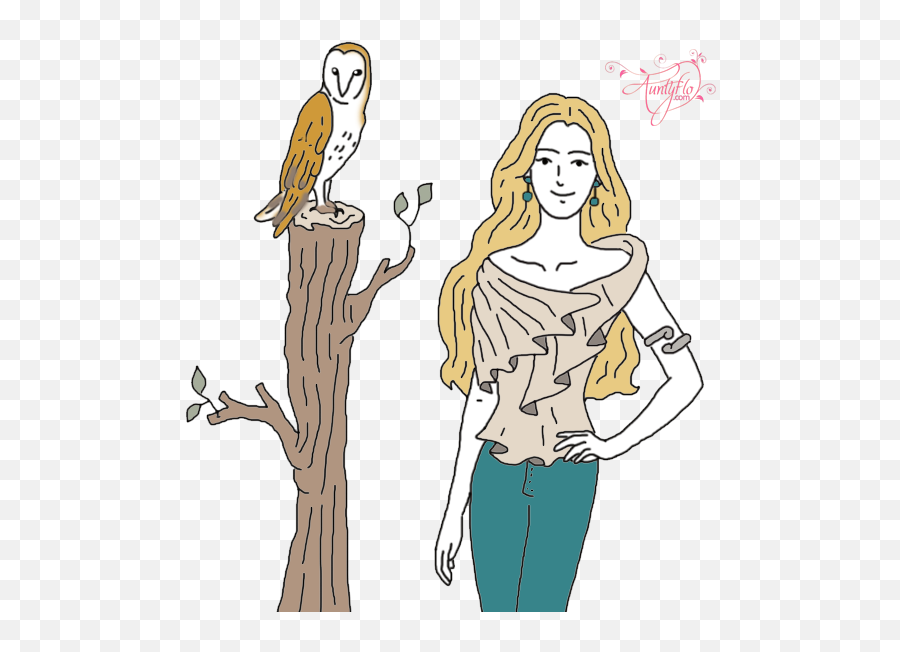 Barn Owl - Cartoon Png,Barn Owl Png